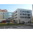 Chantier CERMO_49
