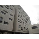 Chantier Phelma_4