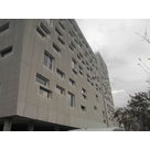 Chantier Phelma_9