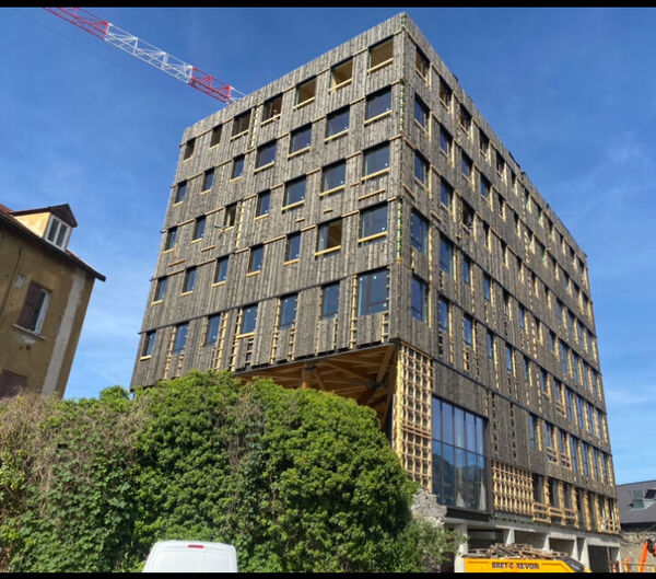 Le Wood - 31
