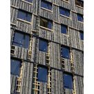 Le Wood - 21