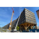 Le Wood - 20