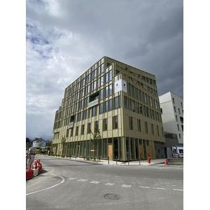 Les &Eacute;chos Alu bois Wicona - 19