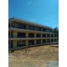 PLM - 1